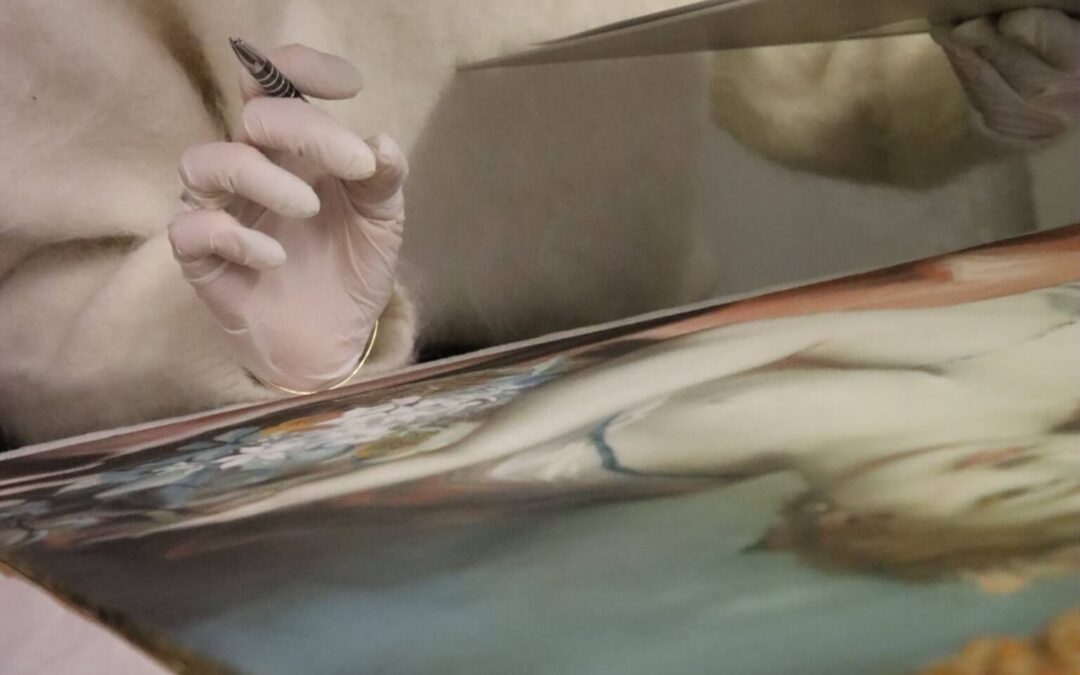 Schimmelbefall – eine ernsthafte Gefährdung für Kunst und Gesundheit